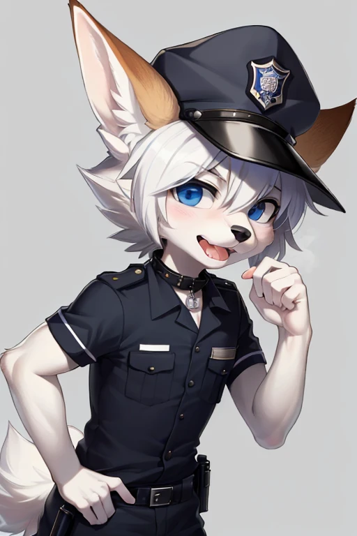 Boy, small, ((twink)), short, fluffy white fur, jackal, ((androgynous)), anthro, police uniform, collar, police hat, ((mocking look))