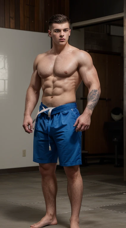 Young white man karate black belt, 17 years old, military haircut, dark hair, intense blue eyes, intense gaze, affiliated features, no facial hair, height 1.90, weight 96 kg, muscular and corpulent aesthetic build, broad shoulders, V-shaped body, half slee...