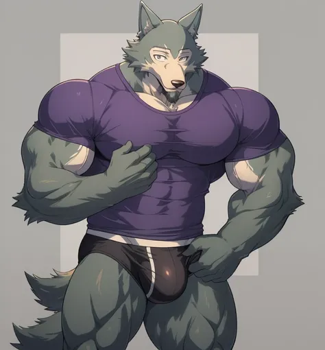 Legoshi, Beastars, muscular, bodybuilder, athletic, wolf, anthro, large pectorals, veiny muscles, huge muscles, v shape body, grey goatee beard, tight t-shirt, purple speedo, big bulge, looking at viewer, smiling