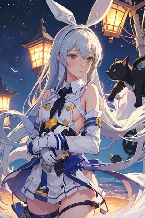 hyper detailed, perfect anatomy, extremely detailed and delicate, 1 girl, shimakaze(kancolle), 1 black cat, night sky, stars, milkyway, hugging a black cat,