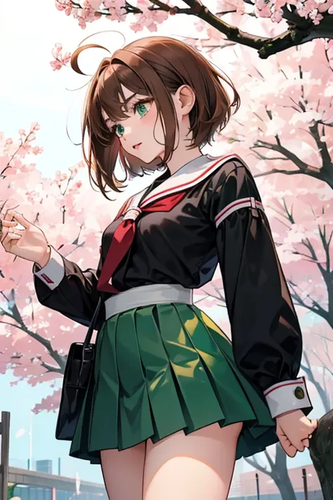 Sakura has short brown hair, short all-round with 2 raised partings, 2 curved ahoges, and 2 long thin strands on sides, and emerald green eyes. Her winter school uniform is a black long sleeved shirt with red and white sleeve cuffs.