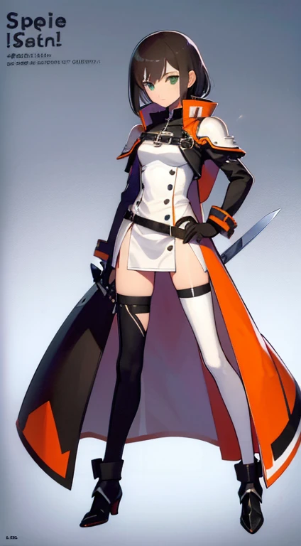 (((Best Quality))) , ((full body)), female, reference sheet, solo, (white background), holding sword, gloves, waist armor, thigh high, side slit trench skirt, short jacket, blue, orange, green, violet, brown, white, colorful outfit,