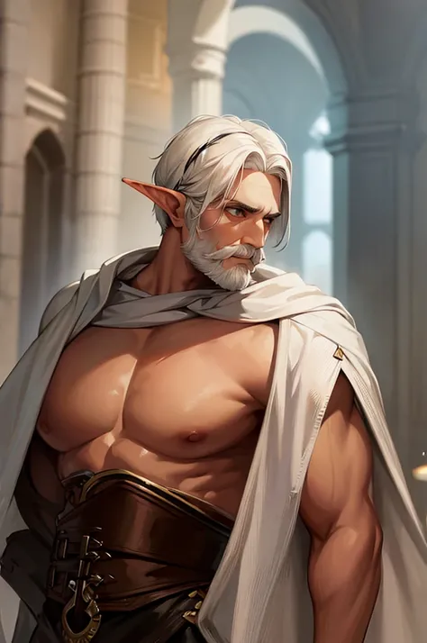 A Half-Elven Male with Short White hair and a Thick White moustache