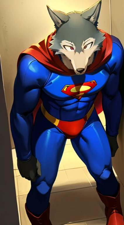 solo, wolf, male, legoshi_(lora), grey fur, grey hand, hi res, soft shading, ( detailed fur 1.1 ), (surprise expression), ( solo 1.1) (detailed), (masterpiece: 1.2), ( full body head to toe show), wearing a superman costume, ( red and blue bodysuit) (spand...