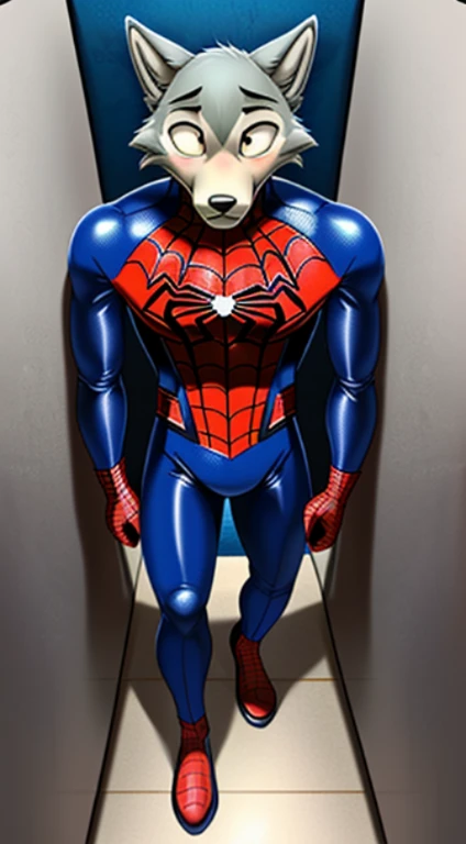 solo, wolf, male, legoshi_(lora), grey fur, black eye, grey hand, hi res, soft shading, ( detailed fur 1.1 ), (worried expression), ( solo 1.1) (detailed), (masterpiece: 1.1), ( full body head to toe show), , wearing a spider-man costume, black spider logo...