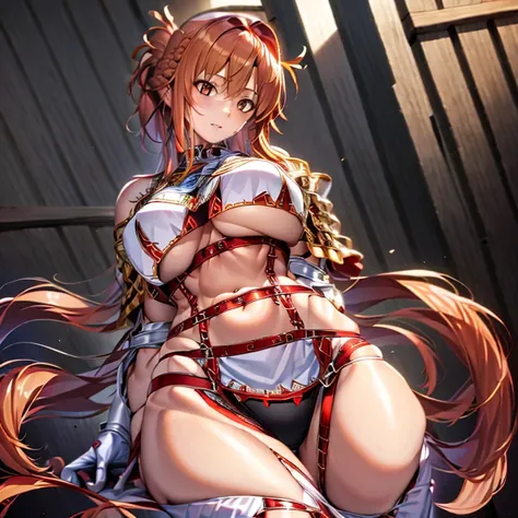 1girll,fur armour,Viking warrior, fur,Wolf ears, Extremely detailed,Reddish-orange hair,Braid,view the viewer(Masterpiece, Best quality:1.2)
