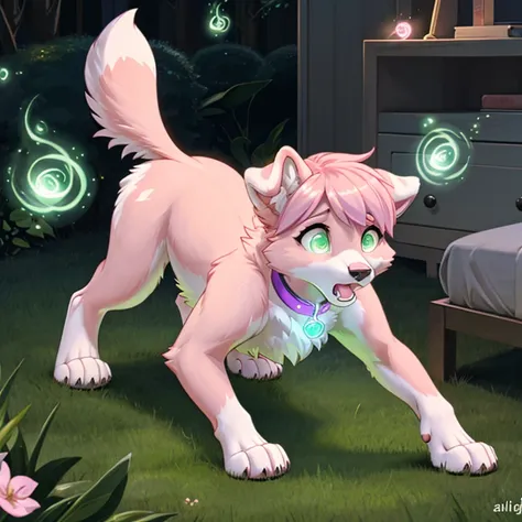 shocked feral Female dog with pink fur and glowing Green eyes in purple collar standing on all fours there is some traces of magic floating around her she is in a bedroom