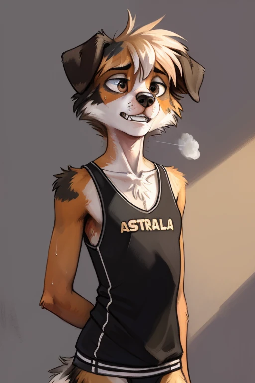 solo, ((australian shepard)), male, slender, ((twink)), detailed, uploaded to e621, beautiful and detailed portrait of an anthro...