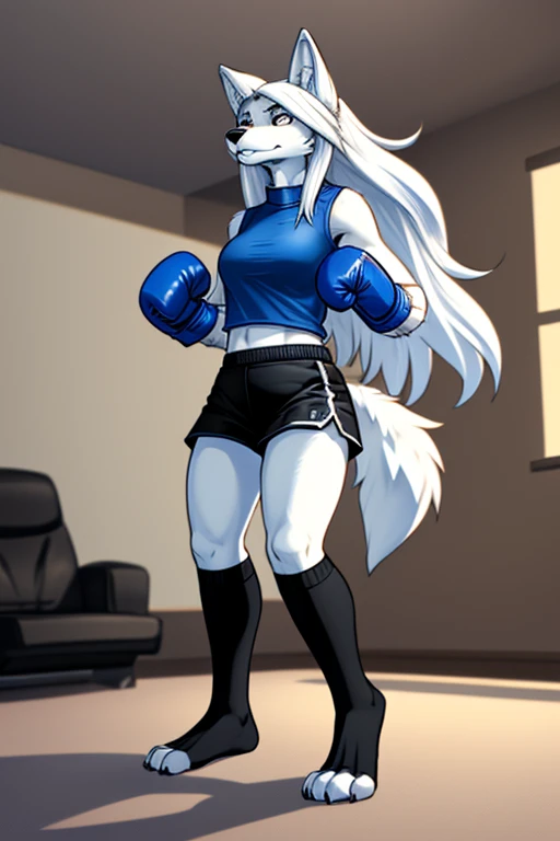 Top quality, wolf with white fur, white long hair, in a dark blue top with a high neck, in black shorts, in black sports socks without socks, wearing dark blue boxing gloves, hands clenched into fists and raised at chest level, standing in the living room