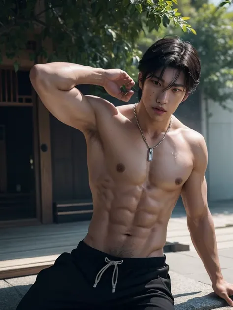 1 person, 1 man, asian, asian man, ((High quality)), ((masterpiece)), ((highly detailed)), perfect face, detailed face, realistic, ((man)), black hair, comma hair style, ((shirtless)), outdoor, ((handsome)), detailed eyes, beautiful detailed nose, realisti...