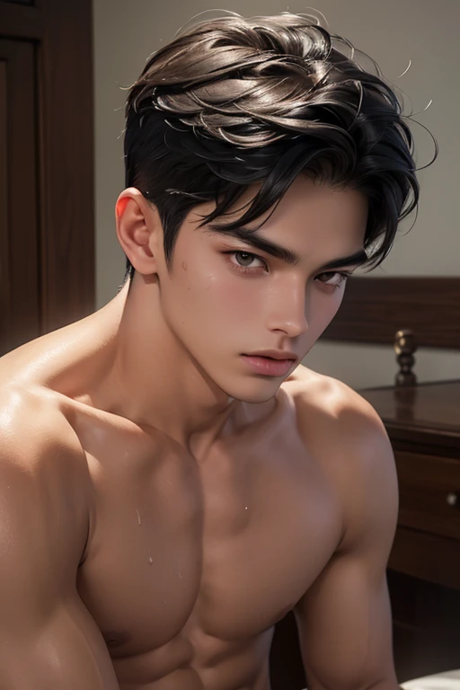 ((High quality)), ((masterpiece)), ((highly detailed)), perfect face, realistic, ((man)), ((indonesian)), young, 20 years old, black hair, comma hair style, ((shirtless)), ((handsome)), detailed eyes, beautiful detailed nose, realistic body, realistic ligh...