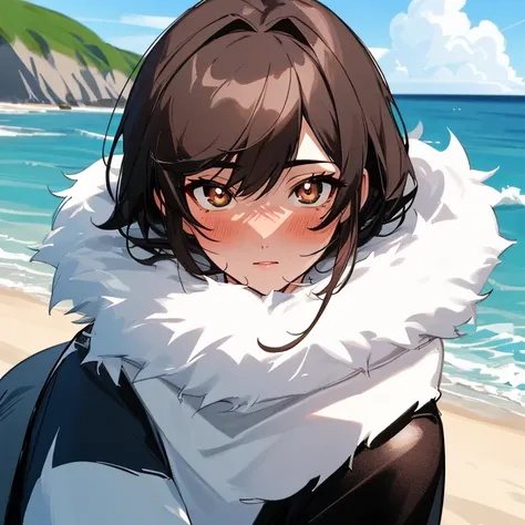 The selkie, a young adult male with dark brown eyes and black hair, Irish, wearing a very detailed seal skin coat, seal skin, real seal skin, light fur, large eyes, large Iris and pupils, by an Irish beach, Ireland, slightly cloudy, light pale rosey skin, ...