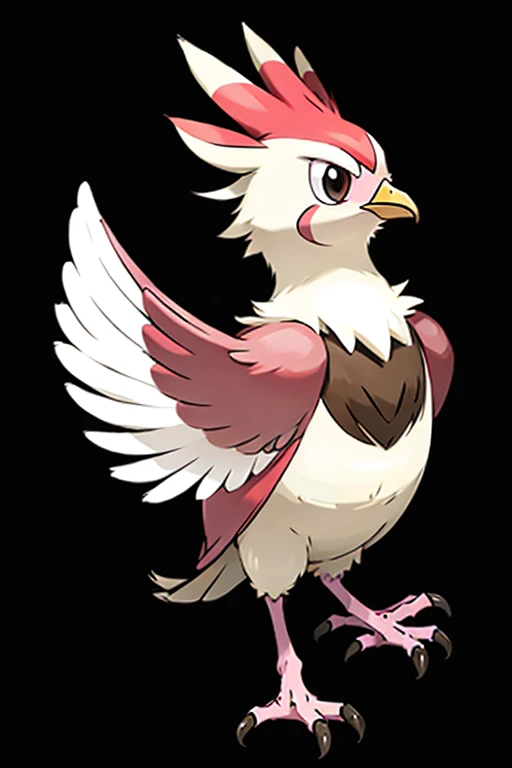 pidgeot