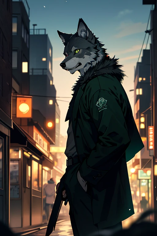 Watching the wolf in the distance,3x3 green eyes,Man in black,masterpiece,best quality,dusk,City,depth of field,messy,furry，young