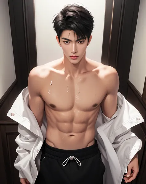 ((High quality)), ((masterpiece)), ((highly detailed)), perfect face, realistic, ((man)), ((Asian)), young, black hair, comma hair cut style, ((handsome)), detailed eyes, beautiful detailed nose, realistic body, realistic light, comfortable expressions, cu...