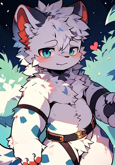  Character focus，solo, hairy, hairy的公猫, White fur for men, Heterochromic eyes, silver hair，Little cute，snow leopard