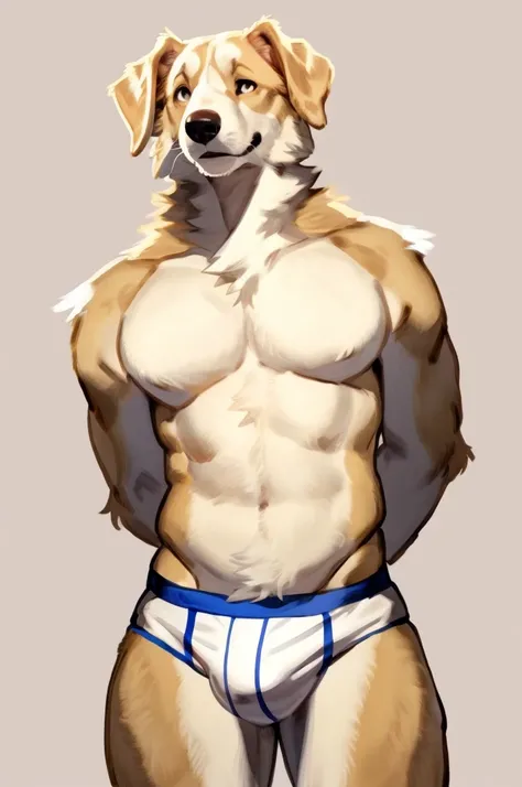 Solo, Furry, Anthro,Golden Retriever, Male, E621, Standing, Hands behind back, Wearing underwear, Simple background, Front view, by bebebebebe, by buta99, by inu-sama
