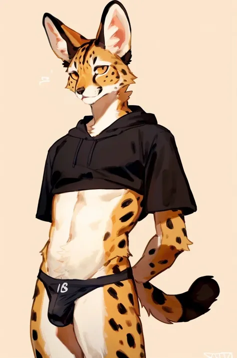 Solo, Furry, Anthro, Serval, Male, E621, Standing, Hands behind back, Wearing underwear, Simple background, Front view, by bebebebebe, by buta99, by inu-sama
