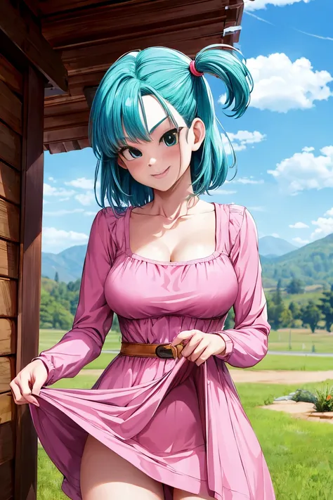 masterpiece, best quality, highres, dragon ball, blmsdup, bulma, aqua hair, one side up, pink dress, long sleeves, collarbone, medium breasts, outdoors, standing, cowboy shot, (dress lift:1.3), evil smile,