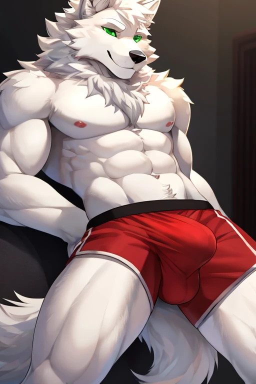 big white fluffy slim wearwolf with white furr grey furr around the eyes a large cock wearing Red Boxer Undewear. with black Green eyes