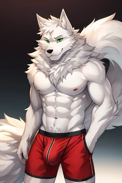 big white fluffy slim wearwolf with white furr grey furr around the eyes a large cock wearing Red Boxer Undewear. with black Green eyes