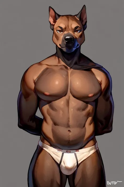 Solo, Furry, Anthro, American Bully, Male, E621, Standing, Hands behind back, Wearing underwear, Simple background, Front view, by buta99, by bebebebebe, by chelodoy, by inu-sama
