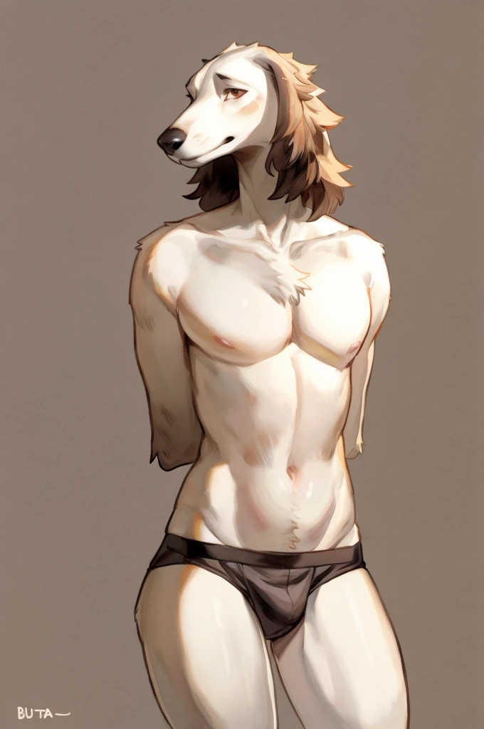 Solo, Furry, Anthro, Borzoi, Male, E621, Standing, Hands behind back, Wearing underwear, Simple background, Front view, by buta99, by bebebebebe, by chelodoy, by inu-sama
