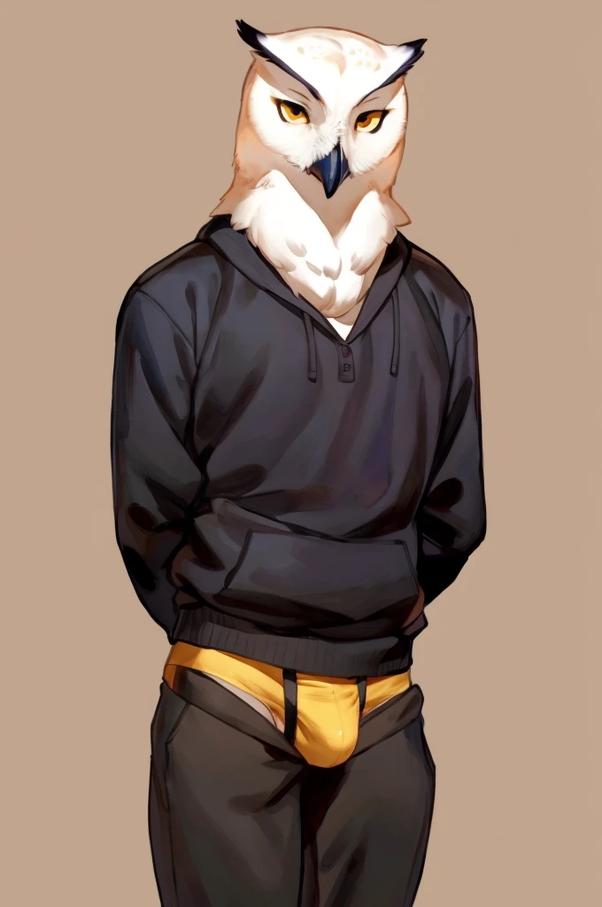 Solo, Furry, Anthro, Snow Owl, Male, E621, Standing, Hands behind back, Wearing underwear, Simple background, Front view, by buta99, by bebebebebe, by chelodoy, by inu-sama
