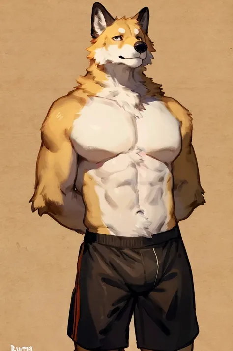 (solo,furry,anthro),male,standing,front view, muscular body, simple image background, Golden Retriever,wearing boxer shorts, hands behind back, by bebebebebe:1.2,by buta99,by foxovh,by ruan jia
