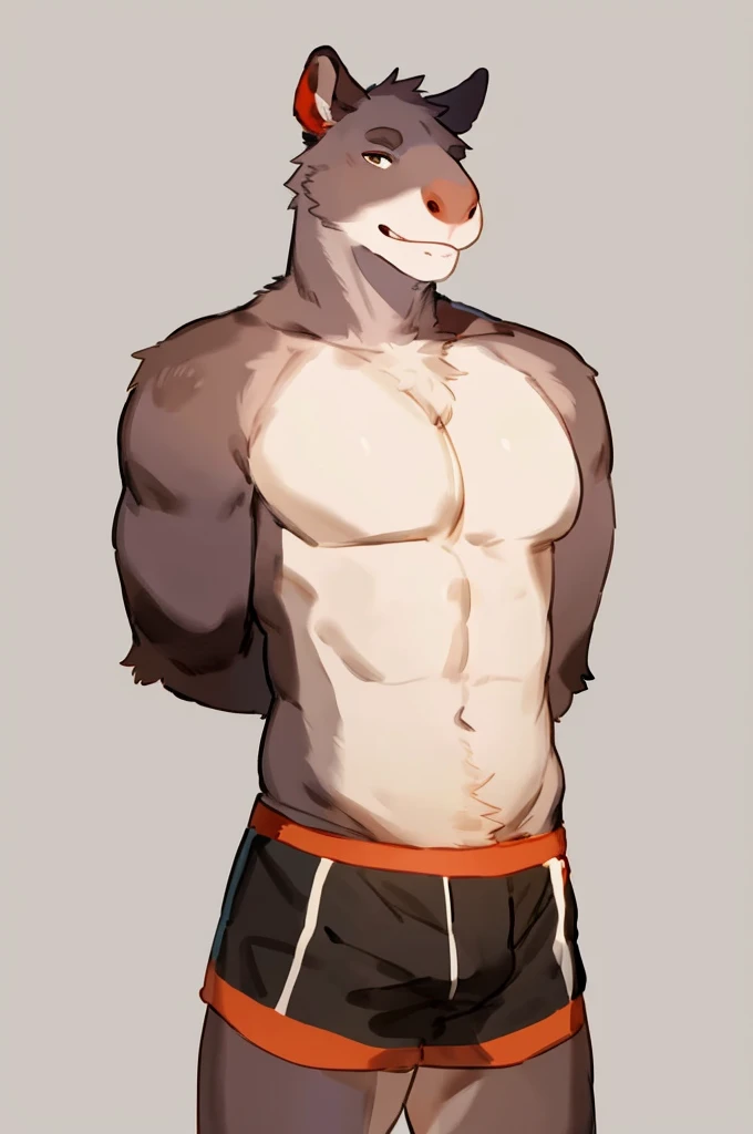 (solo,furry,anthro),male,standing,front view, muscular body, simple image background, Tapir,wearing boxer shorts, hands behind back, by bebebebebe:1.2,by buta99,by foxovh,by ruan jia
