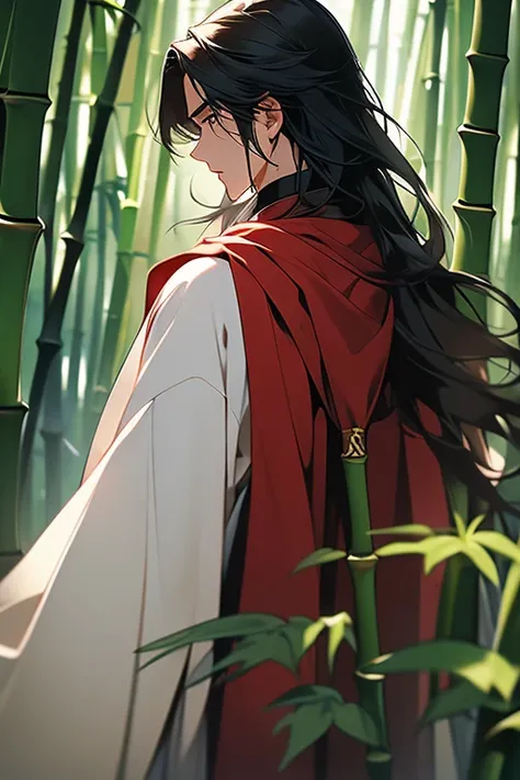 A back view does not differentiate between men and women，Black and red cape，Long black hair draped loosely，bamboo forest