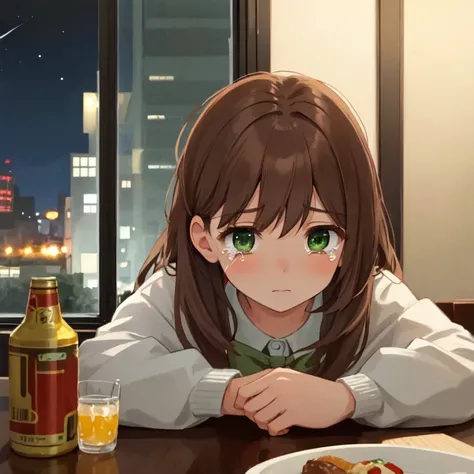 1girl, solo, super fine illustration, an extremely delicate and beautiful, best quality, brown hair, long hair, green eyes, looking out window, sad, alcohol, can, dining table, indoor, night, close-up, tears.
