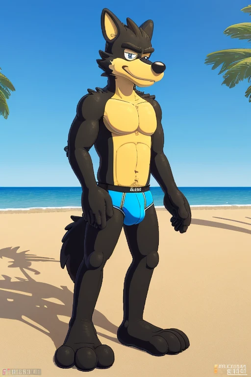 hi-res, good graphics, great anatomy, anatomically correct, digital art, A Wolf in briefs, (by phosaggro, fuzzyjay, anti dev, fuze), solo, standing on the beach