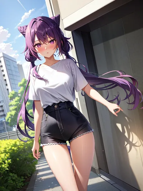 (masterpiece, highest quality, super detailed), Keqing (genshin impact), (purple hair), ((blush:1.2)), corn hair bun hair, twin tails, long hair, flowing bangs, Braid, Braided bangs, purple eyes, pink eyes,
(wearing a t-shirt:1.2), Are standing, sunlight, ...