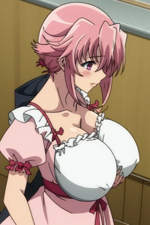 yuno_gasai, 1girl, solo,, dress, frills, frilly dress, ((large breast)).