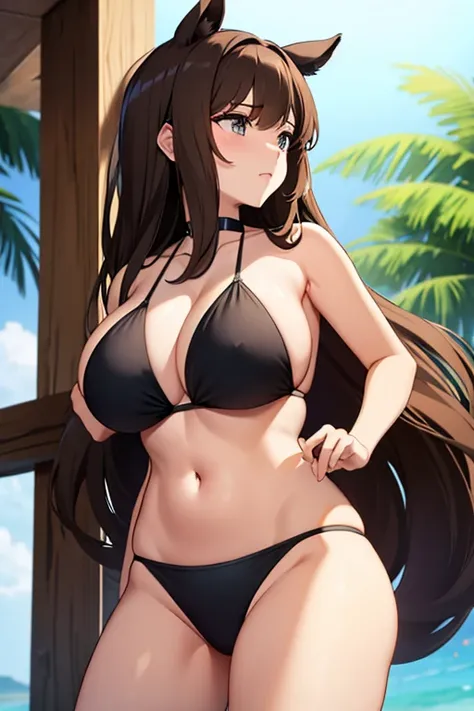 girl　big breasts　black bikini　long brown hair　horse ear