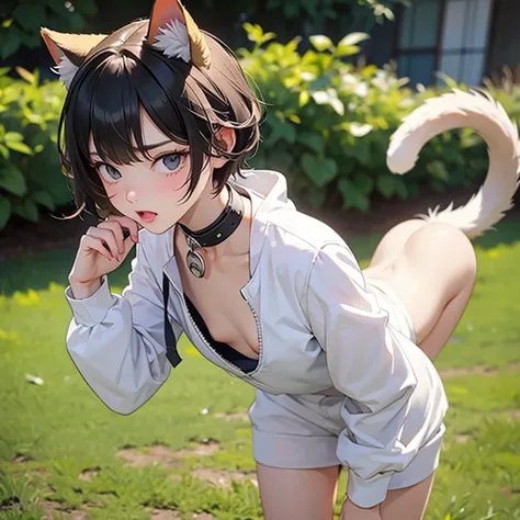 score_9, score_8_up, score_7_up, score_6_up, score_5_up, score_4_up, source_anime, 1girl, cat ears, cat tail, streaked hair, young, cute, smug, standing, male pov, headpat,  outdoors, detailed background,Naked,full nude,white underwear,dog collar around ne...