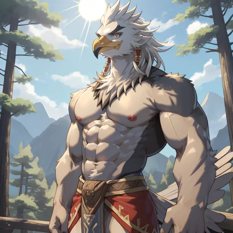 zelda breath of the wild,teba,male,birdman,,featheredwings,鳥wing,aldult,alone,4k,best quality, whole body,looking at the audienc...