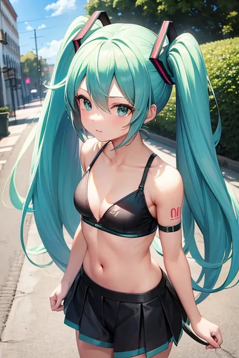 Hatsune Miku in street fighter