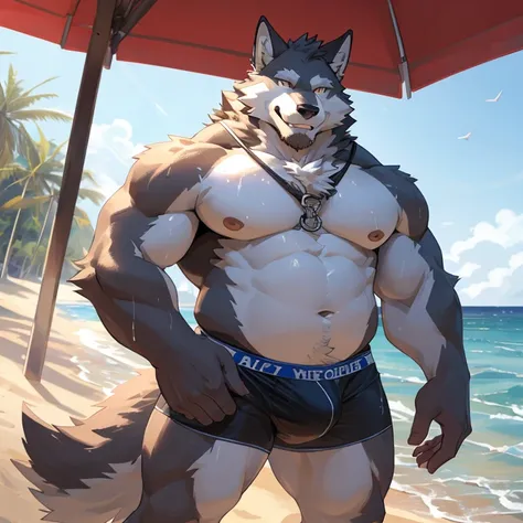 pantless, 1 boy, solo, furry, light-white fur, brown fur, white beard, anthro (wolf), male, middle-aged, gray body, white belly, tail, fat, drink sperm, high quality, super detail, 1080P, high quality, best quality, 8k, super detail, 16k, highres, HD, 16k,...