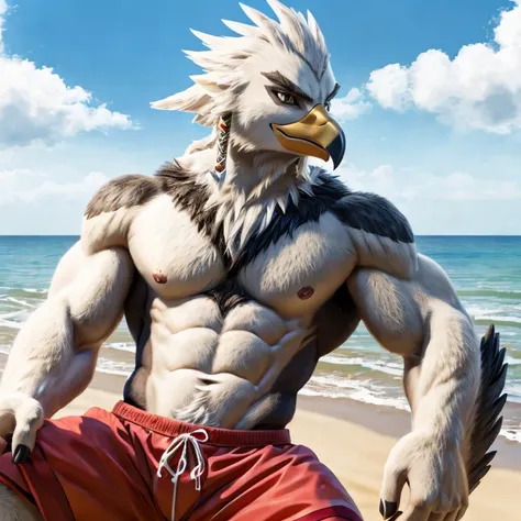 zelda breath of the wild,teba,male,birdman,aldult,alone,4k,best quality,white fur,,looking at the audience,lie在沙灘上,lie下,lie著,lie...