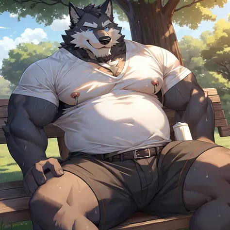 anthropology, wolf, hairy, black and white fur, fat, old-age, hairy, Sweating, Sparkling blue eyes, Big pink‚ with big‚ abs‚ handsome‚ sex, smile, pink nipples, nipple piercing, sit on park, open legs, black short, taking off short, high quality, shirt in ...