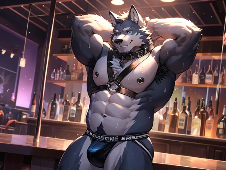 anthropology, wolf, hairy, black and white fur, fat, old-age, hairy, jockstrap , Sweating, Sparkling blue eyes, Big pink‚ with big‚ abs‚ handsome‚ sex, smile, collarbone, pink nipples, collar dog, nipple piercing,stad, flex arm muscles, harness, harness ri...