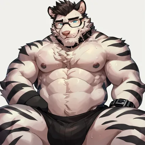 tiger, fat, shirtless, 1boy, white shirt, upper body, male focus, jock, look to down me, suspenders, pectoral muscles, sleeves rolled up, watch, watch, wolf ears, beard, blush, sweat black and white stripes, collar dog, sweating, happy face, handsome, view...