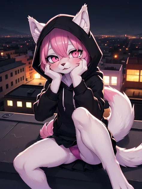 ((cute)), ((young)), ((petite)), (flat), ((furry)), ((wolf)), wearing a (black hoodie) and a (black skirt) sitting on the ledge of a roof with her legs spread, pink panties, city, night, yandere trance, yandere, hands on own face, hands on own cheeks, (mas...