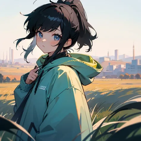 black hair、girl、ponytail、hoodie、grassland、look up