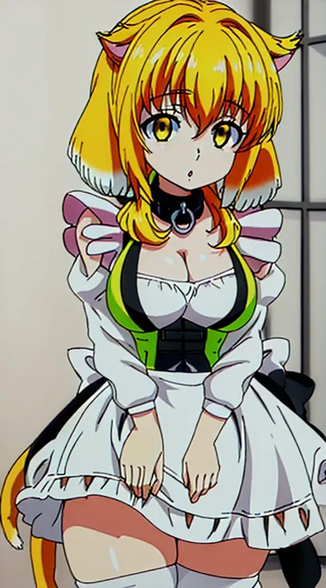 best quality, high_resolution, distinct_image,1 cat girl with cat ears,covered big breast, short yellow hair, yellow eye, maid dress