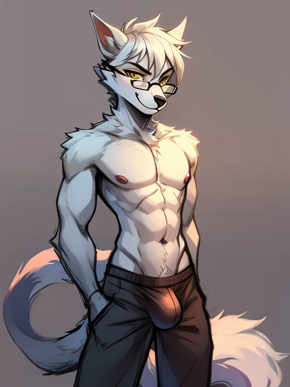 Male, Arctic wolf, detailed yellow eyes, long tail, big nipples, slim, sly, simple background,, smirk, bulge,  glasses, tail wrapping around body