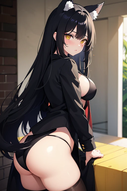 hot girl, beautiful long black hair, bright yellow eyes, black bikini, big but medium breasts, a black jacket no panties and long black transparent socks, wolf ears, blush, showing her ass