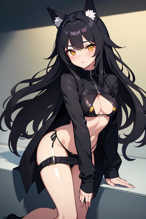 hot girl, beautiful long black hair, bright yellow eyes, black bikini, big but medium breasts, a black jacket no panties and long black transparent socks, wolf ears, blush